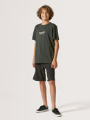 Camiseta Juvenil Hang Loose Echo Chumbo